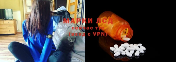 PSILOCYBIN Осинники