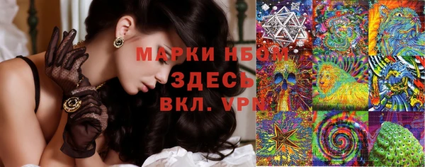 PSILOCYBIN Осинники